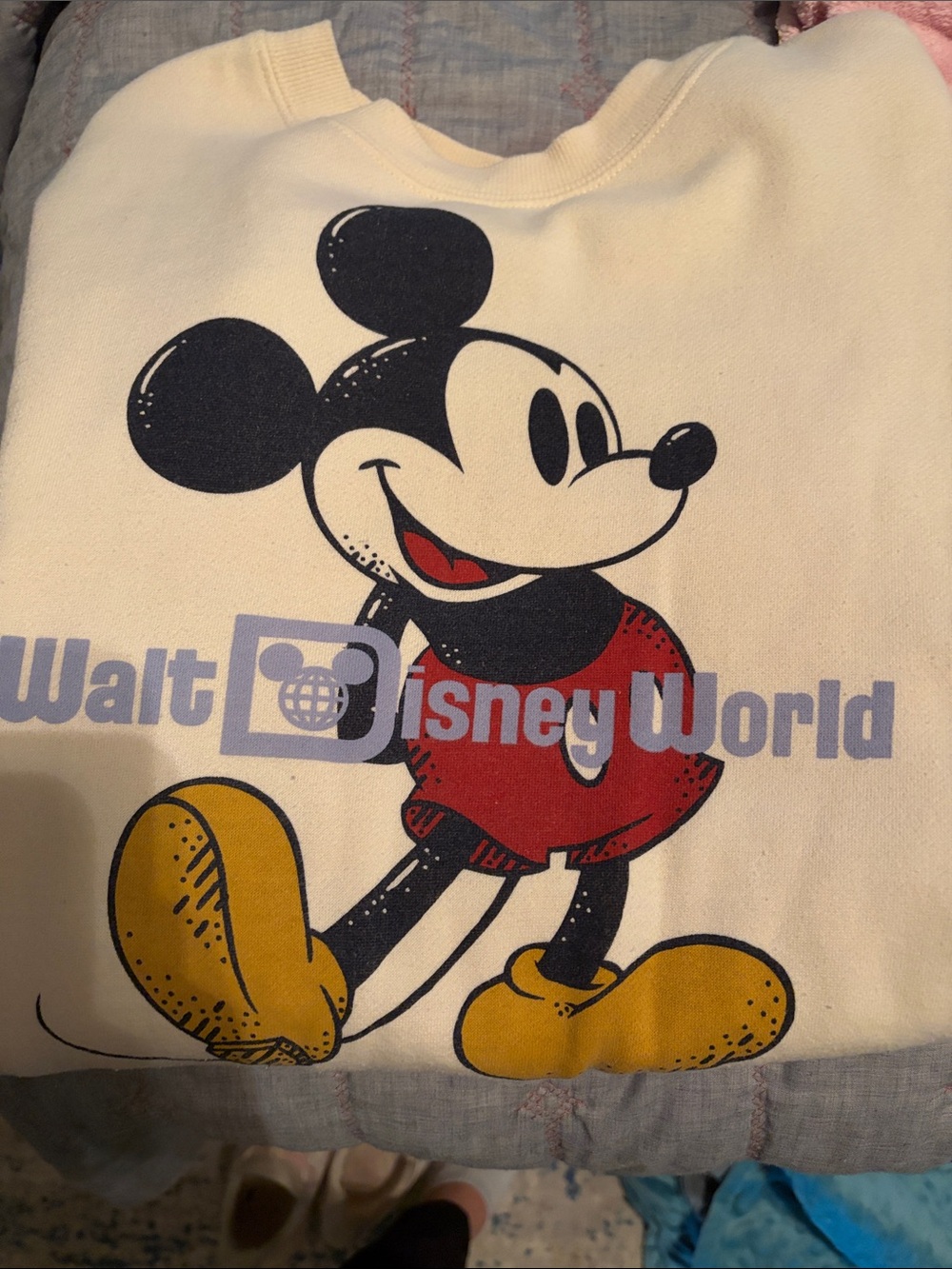 Disney bundle